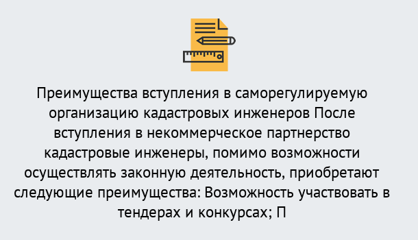 Почему нужно обратиться к нам? Заринск Что дает допуск СРО кадастровых инженеров?