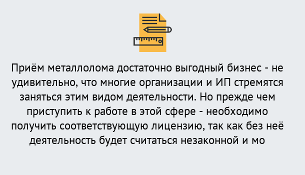 Почему нужно обратиться к нам? Заринск Лицензия на металлолом. Порядок получения лицензии. В Заринск