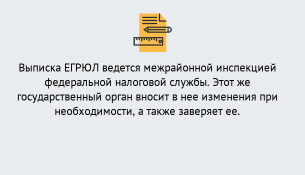 Почему нужно обратиться к нам? Заринск Выписка ЕГРЮЛ в Заринск ?