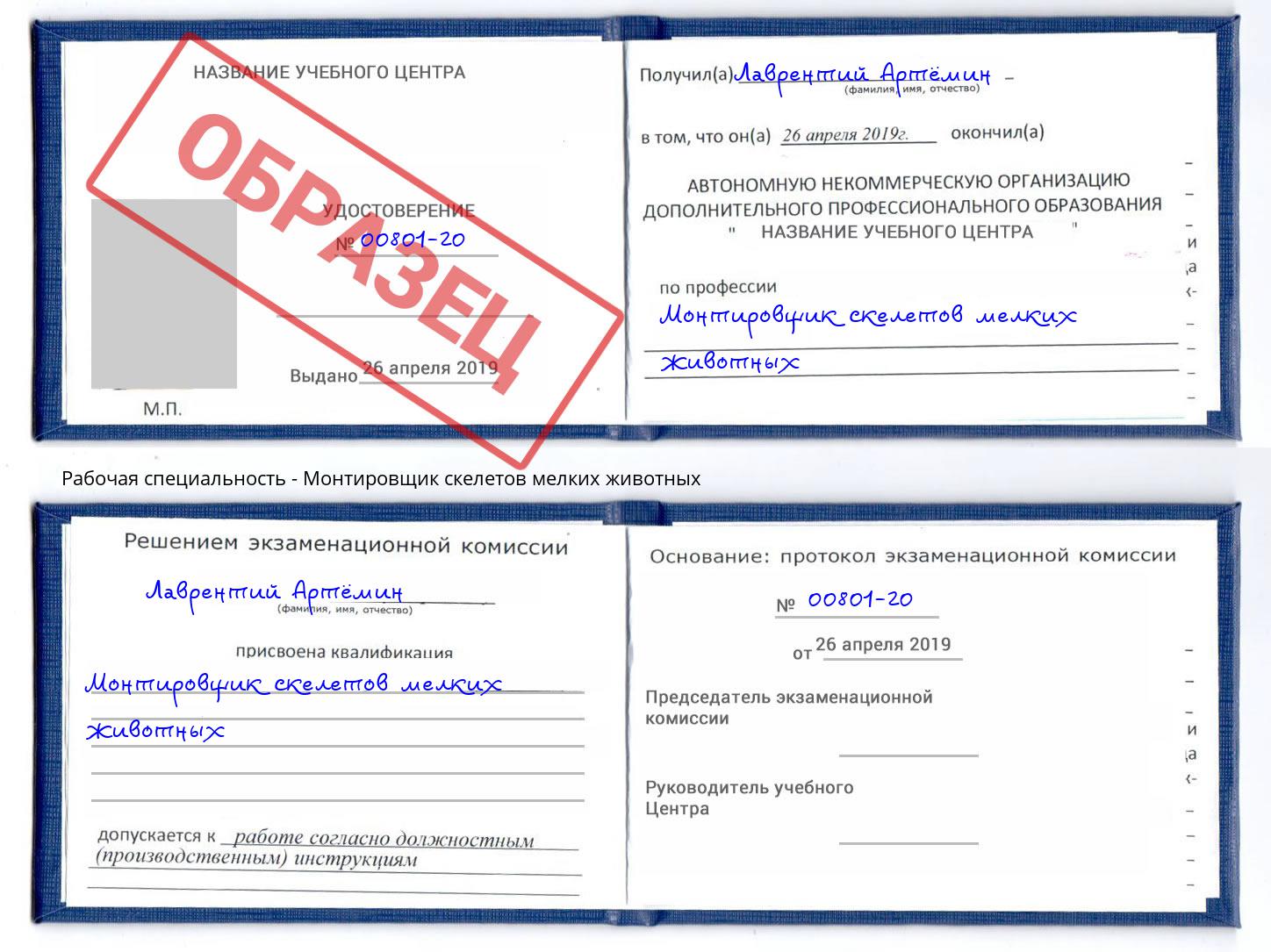 Монтировщик скелетов мелких животных Заринск