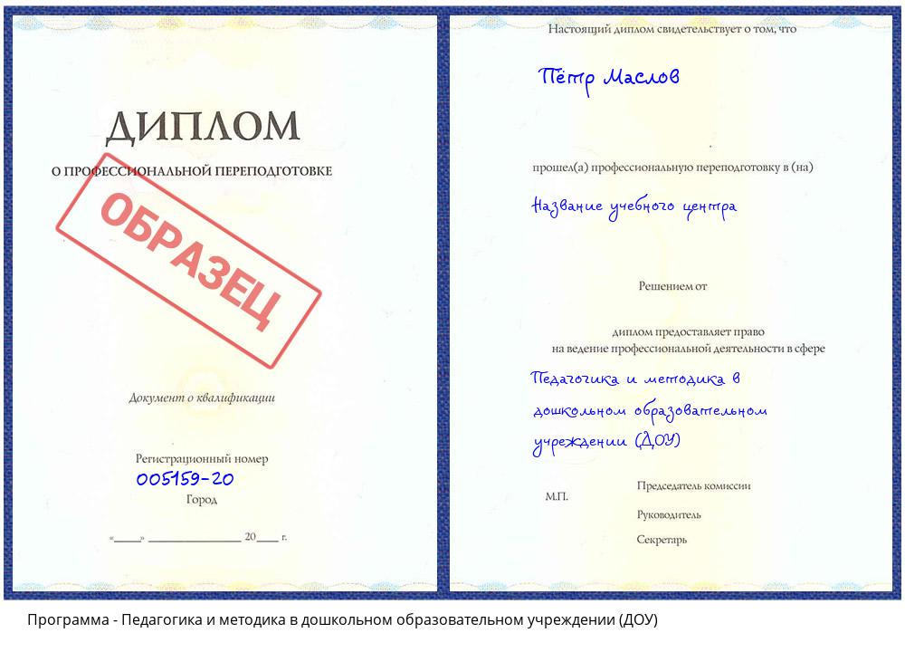 Педагогика и методика в дошкольном образовательном учреждении (ДОУ) Заринск