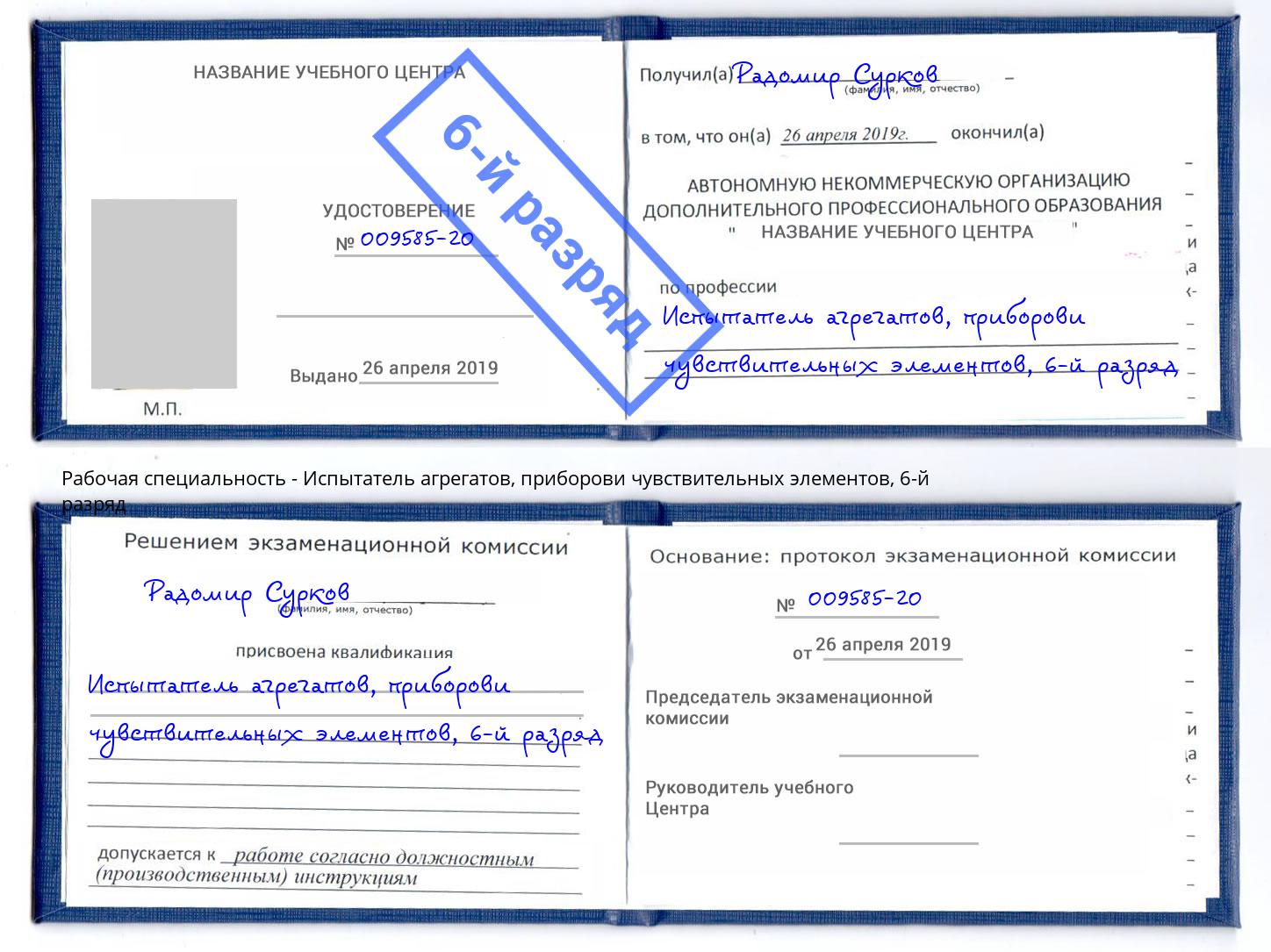 корочка 6-й разряд Испытатель агрегатов, приборови чувствительных элементов Заринск