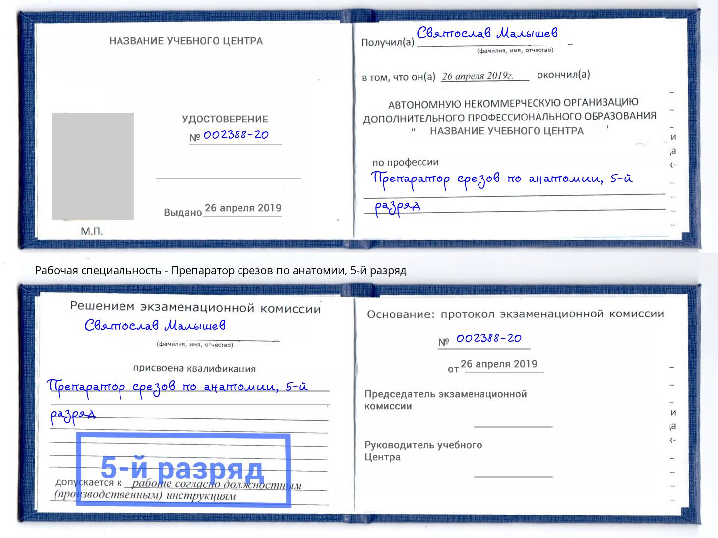 корочка 5-й разряд Препаратор срезов по анатомии Заринск