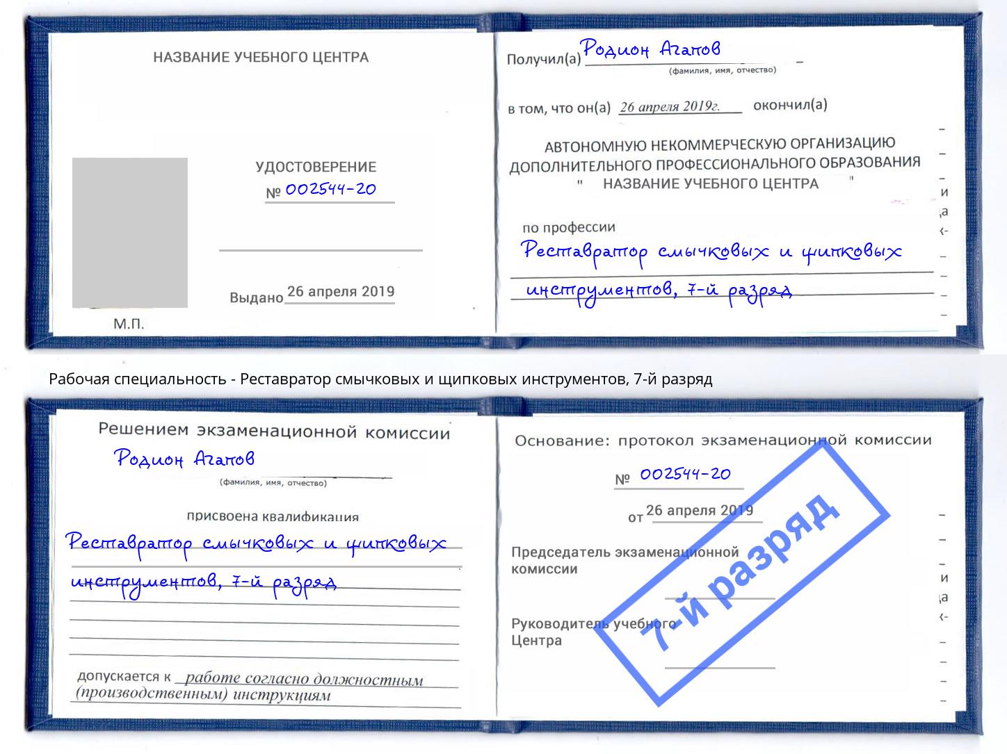 корочка 7-й разряд Реставратор смычковых и щипковых инструментов Заринск