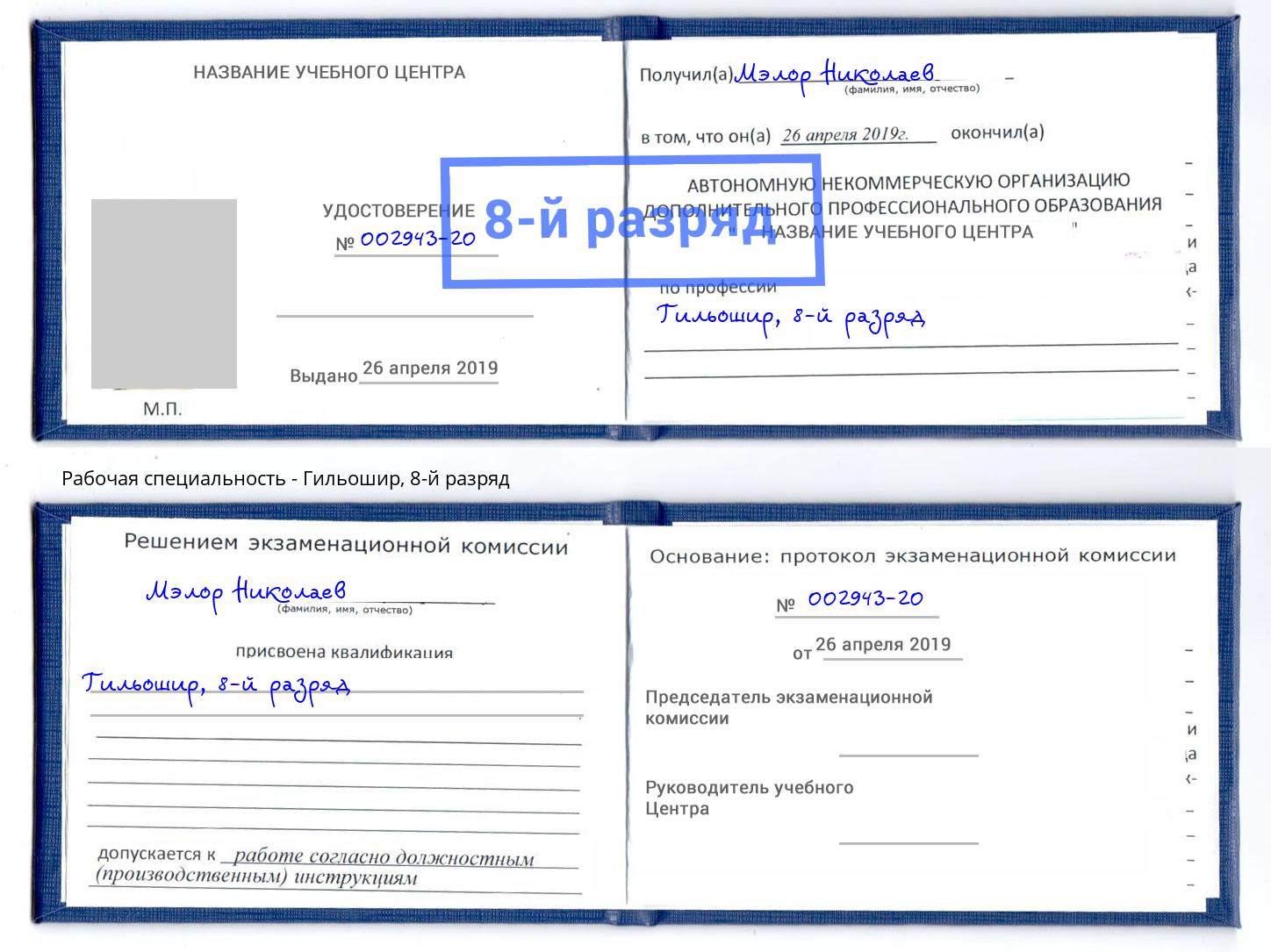 корочка 8-й разряд Гильошир Заринск